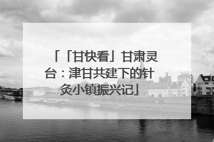「甘快看」甘肃灵台：津甘共建下的针灸小镇振兴记