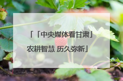 「中央媒体看甘肃」农耕智慧 历久弥新