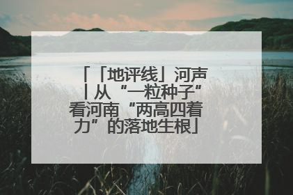 「地评线」河声丨从“一粒种子”看河南“两高四着力”的落地生根