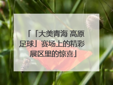 「大美青海 高原足球」赛场上的精彩 展区里的惊喜