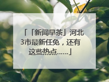 「新闻早茶」河北3市最新任免，还有这些热点……