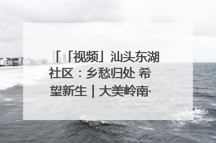 「视频」汕头东湖社区：乡愁归处 希望新生｜大美岭南·百村焕新记