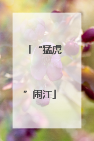 “猛虎”闹江
