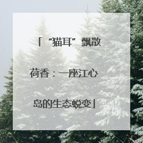 “猫耳”飘散荷香：一座江心岛的生态蜕变