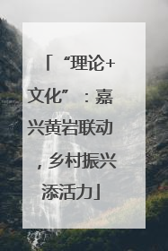 “理论+文化”：嘉兴黄岩联动，乡村振兴添活力