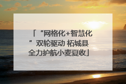 “网格化+智慧化”双轮驱动 柘城县全力护航小麦夏收