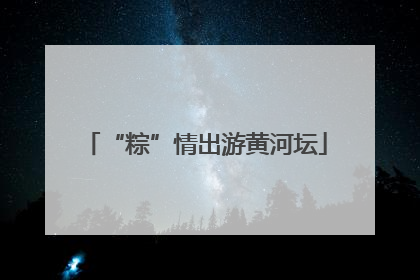 “粽”情出游黄河坛