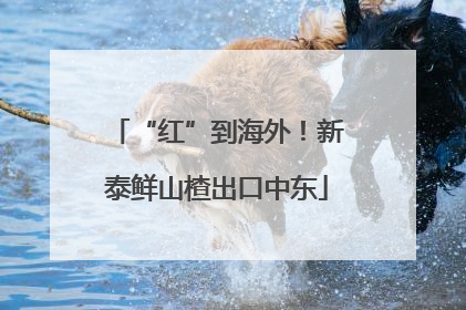 “红”到海外！新泰鲜山楂出口中东