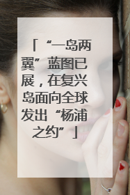 “一岛两翼”蓝图已展，在复兴岛面向全球发出“杨浦之约”