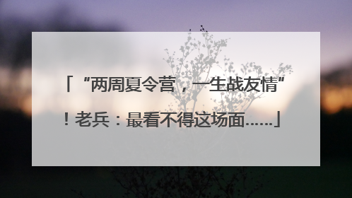 “两周夏令营，一生战友情”！老兵：最看不得这场面……