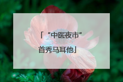 “中医夜市”首秀马耳他