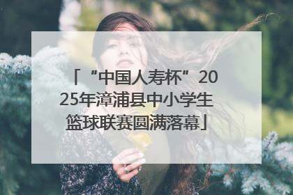 “中国人寿杯”2025年漳浦县中小学生篮球联赛圆满落幕