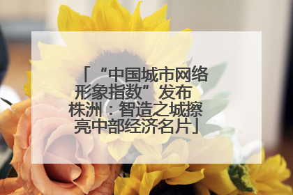 “中国城市网络形象指数”发布 株洲：智造之城擦亮中部经济名片