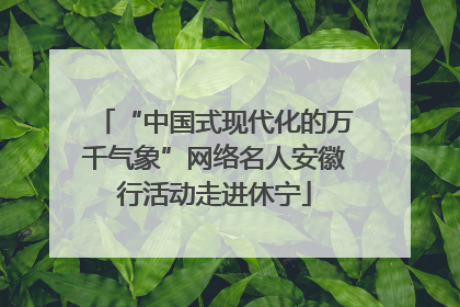 “中国式现代化的万千气象”网络名人安徽行活动走进休宁