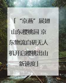 “京燕”展翅山东樱桃园 京东物流自研无人机开启樱桃出山新速度