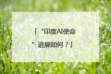 “印度AI使命”进展如何？