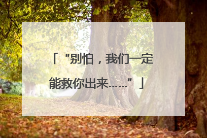 “别怕，我们一定能救你出来……”