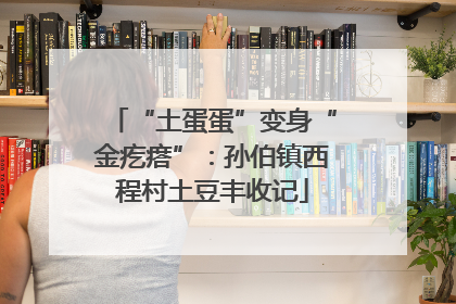 “土蛋蛋”变身“金疙瘩”：孙伯镇西程村土豆丰收记