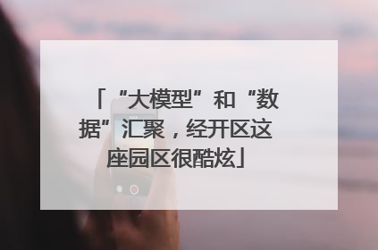 “大模型”和“数据”汇聚，经开区这座园区很酷炫