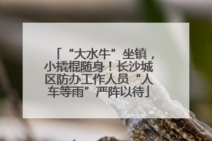 “大水牛”坐镇，小撬棍随身！长沙城区防办工作人员“人车等雨”严阵以待