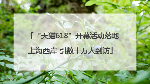 “天猫618”开幕活动落地上海西岸 引数十万人到访