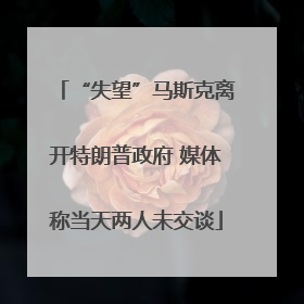 “失望”马斯克离开特朗普政府 媒体称当天两人未交谈