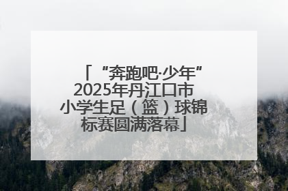 “奔跑吧·少年”2025年丹江口市小学生足（篮）球锦标赛圆满落幕