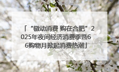 “徽动消费 购在合肥”2025年夜间经济消费季暨66购物月掀起消费热潮