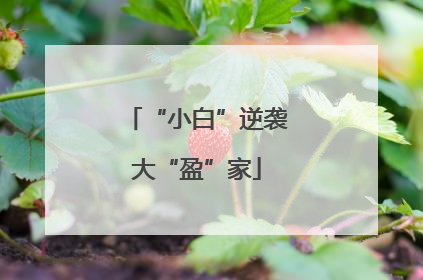 “小白”逆袭大“盈”家