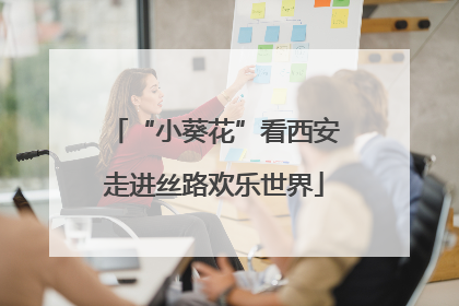 “小葵花”看西安走进丝路欢乐世界