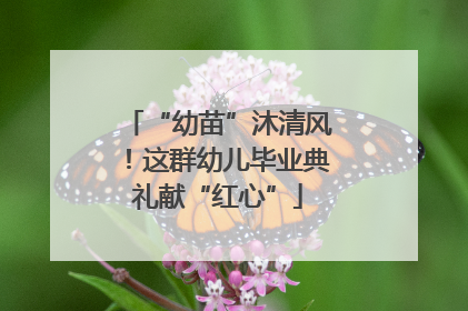 “幼苗”沐清风！这群幼儿毕业典礼献“红心”
