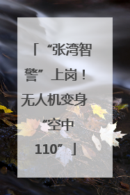 “张湾智警”上岗！无人机变身 “空中 110”