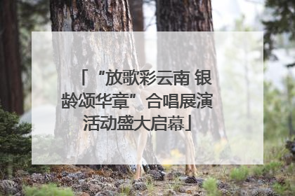“放歌彩云南 银龄颂华章”合唱展演活动盛大启幕