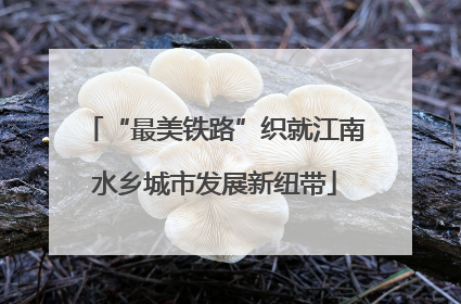 “最美铁路”织就江南水乡城市发展新纽带
