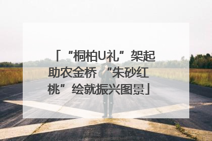 “桐柏U礼”架起助农金桥 “朱砂红桃”绘就振兴图景