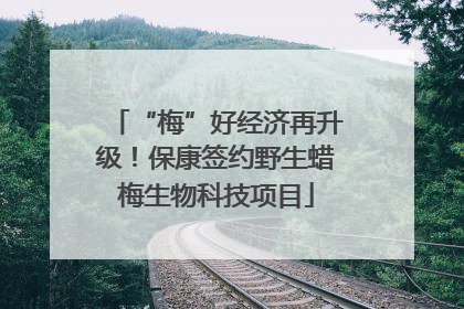 “梅”好经济再升级！保康签约野生蜡梅生物科技项目