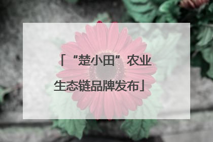 “楚小田”农业生态链品牌发布