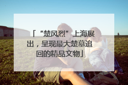“楚风烈”上海展出，呈现最大楚墓追回的精品文物
