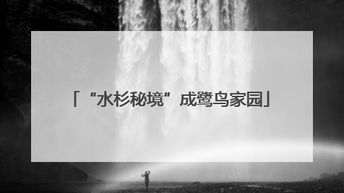 “水杉秘境”成鹭鸟家园