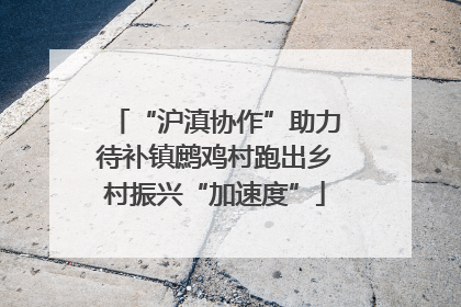“沪滇协作”助力待补镇鹧鸡村跑出乡村振兴“加速度”