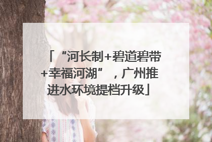 “河长制+碧道碧带+幸福河湖”，广州推进水环境提档升级