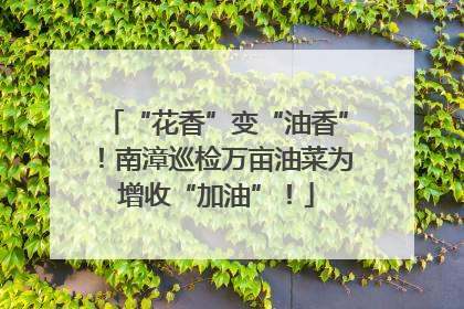“花香”变“油香”！南漳巡检万亩油菜为增收“加油”！