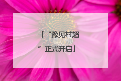 “豫见村超”正式开启