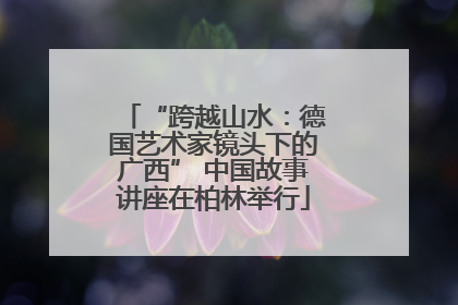 “跨越山水：德国艺术家镜头下的广西” 中国故事讲座在柏林举行