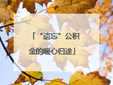 “遗忘”公积金的暖心归途