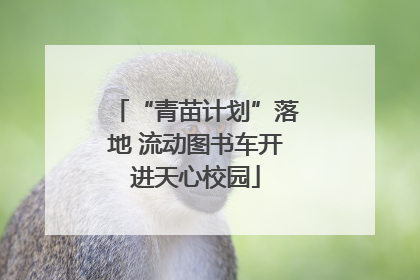 “青苗计划”落地 流动图书车开进天心校园