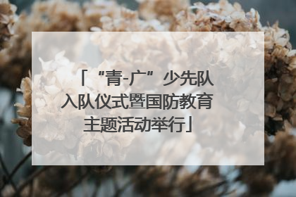 “青-广”少先队入队仪式暨国防教育主题活动举行