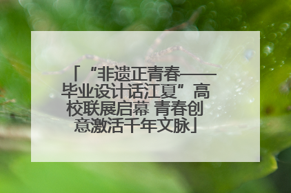 “非遗正青春——毕业设计话江夏”高校联展启幕 青春创意激活千年文脉