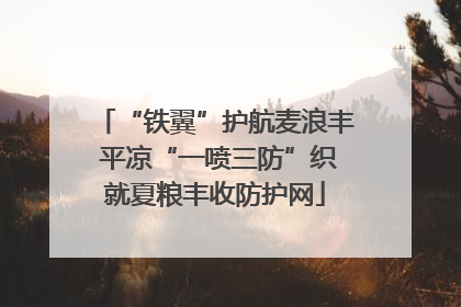 “铁翼”护航麦浪丰 平凉“一喷三防”织就夏粮丰收防护网