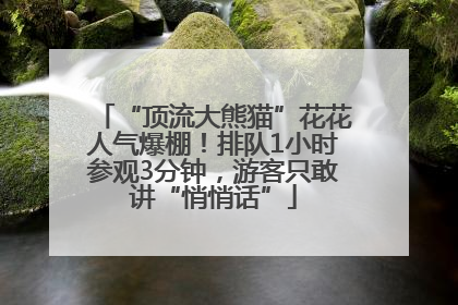 “顶流大熊猫”花花人气爆棚！排队1小时参观3分钟，游客只敢讲“悄悄话”